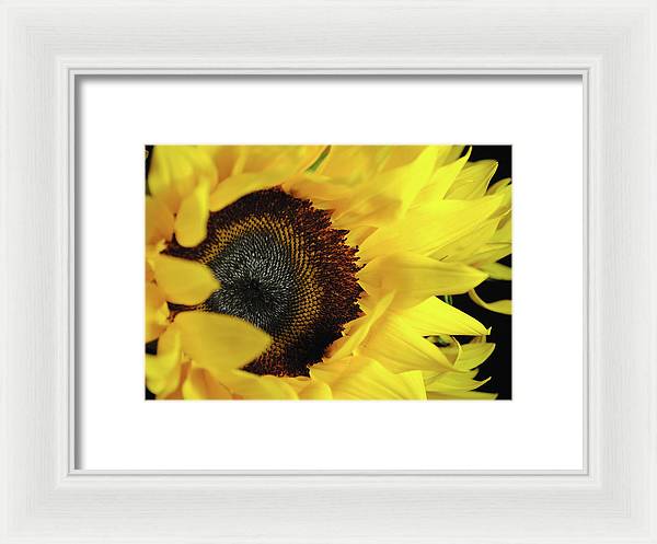 Raw Flowers 13 - Framed Print