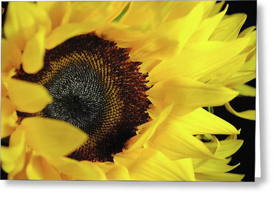 Raw Flowers 13 - Greeting Card