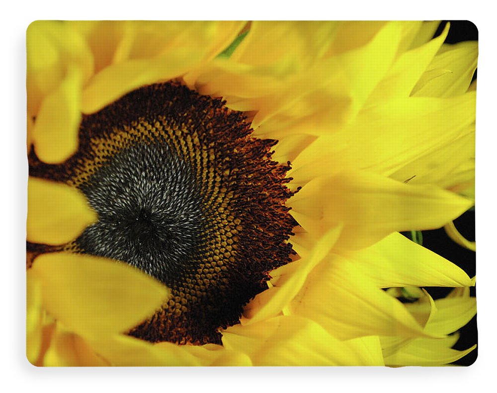 Raw Flowers 13 - Blanket