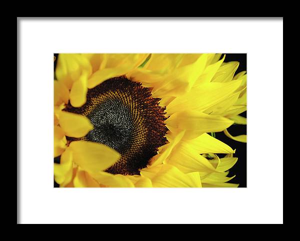 Raw Flowers 13 - Framed Print