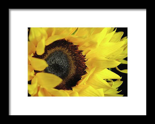 Raw Flowers 13 - Framed Print