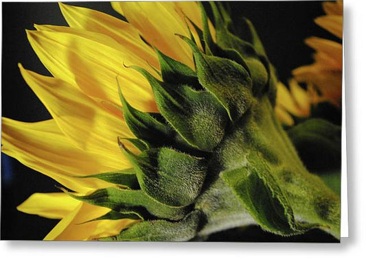 Raw Flowers 14 - Greeting Card