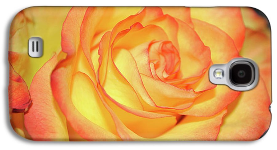 Raw Flowers 5 - Phone Case