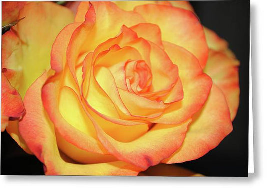 Raw Flowers 5 - Greeting Card