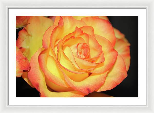 Raw Flowers 5 - Framed Print
