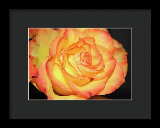 Raw Flowers 5 - Framed Print