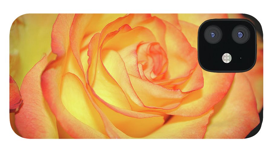Raw Flowers 5 - Phone Case
