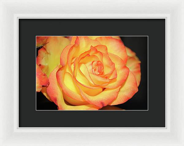 Raw Flowers 5 - Framed Print