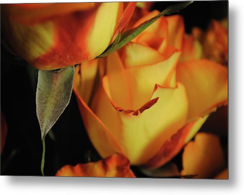 Raw Flowers 6 - Metal Print