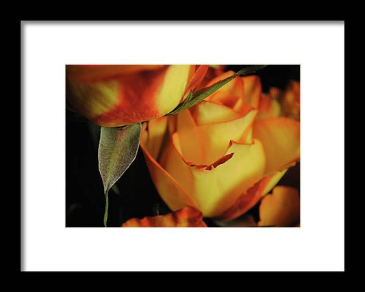 Raw Flowers 6 - Framed Print