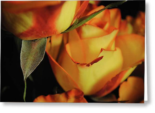 Raw Flowers 6 - Greeting Card
