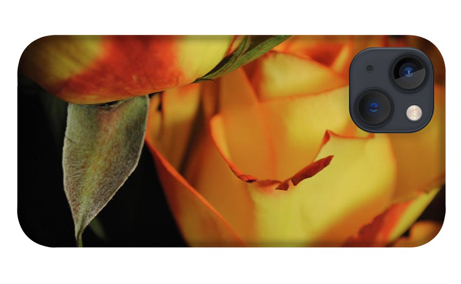 Raw Flowers 6 - Phone Case
