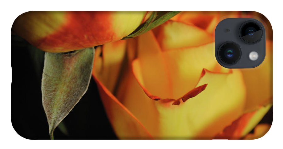 Raw Flowers 6 - Phone Case