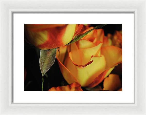 Raw Flowers 6 - Framed Print
