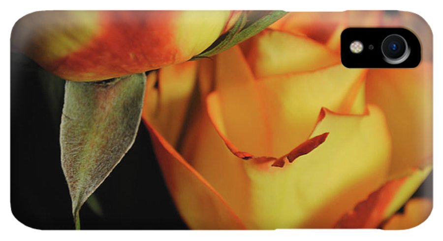 Raw Flowers 6 - Phone Case