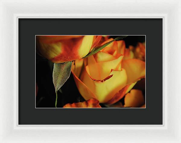 Raw Flowers 6 - Framed Print