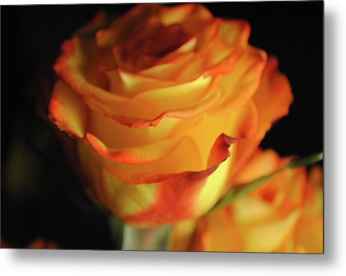 Raw Flowers 7 - Metal Print