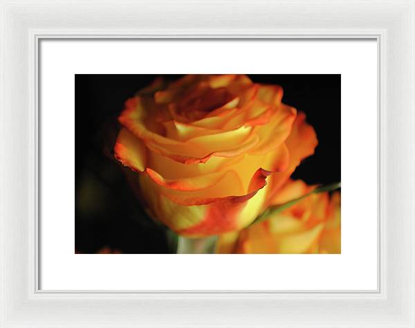 Raw Flowers 7 - Framed Print