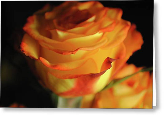 Raw Flowers 7 - Greeting Card