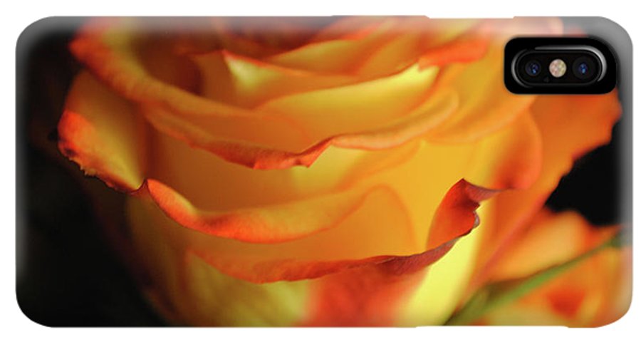 Raw Flowers 7 - Phone Case