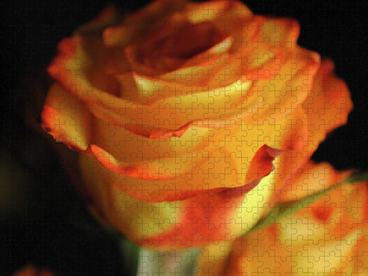 Raw Flowers 7 - Puzzle