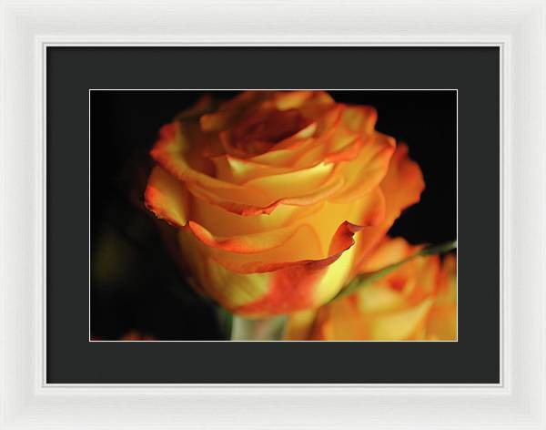 Raw Flowers 7 - Framed Print