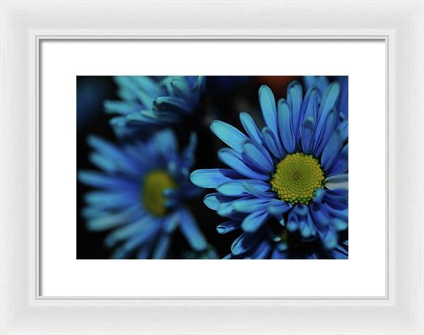 Raw Flowers 8 - Framed Print
