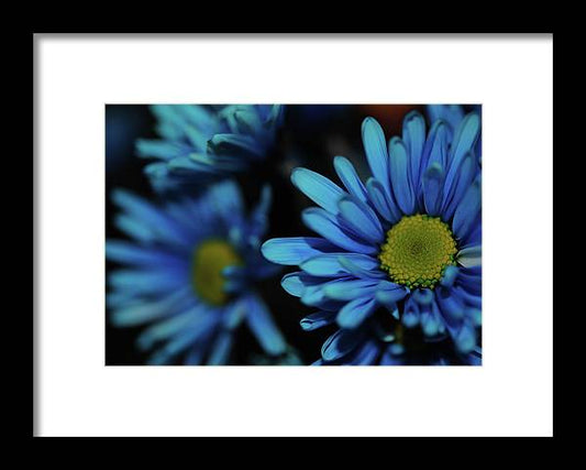 Raw Flowers 8 - Framed Print