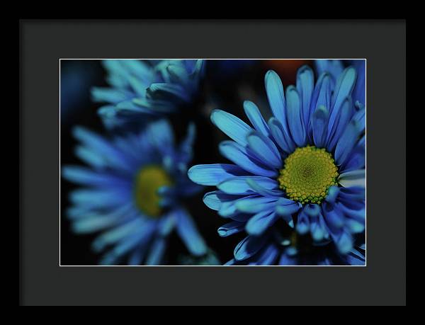 Raw Flowers 8 - Framed Print