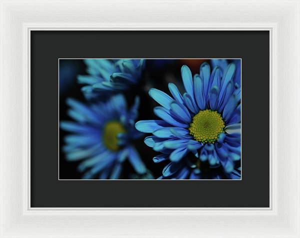 Raw Flowers 8 - Framed Print