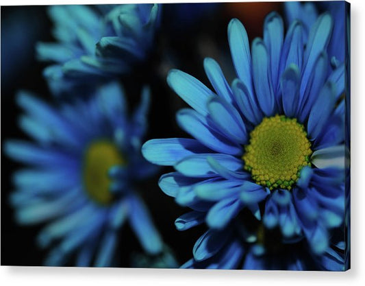 Raw Flowers 8 - Acrylic Print