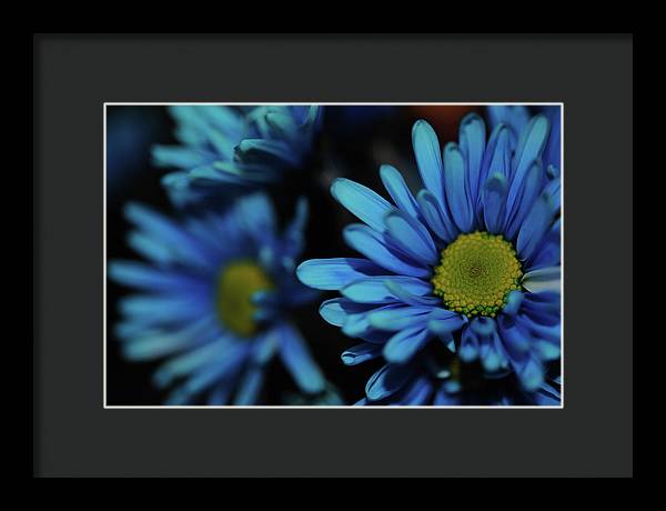 Raw Flowers 8 - Framed Print