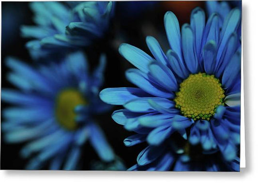 Raw Flowers 8 - Greeting Card