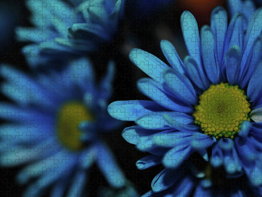 Raw Flowers 8 - Puzzle