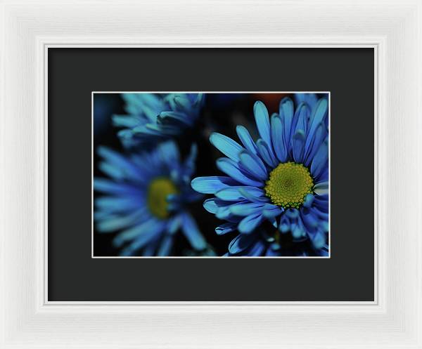 Raw Flowers 8 - Framed Print