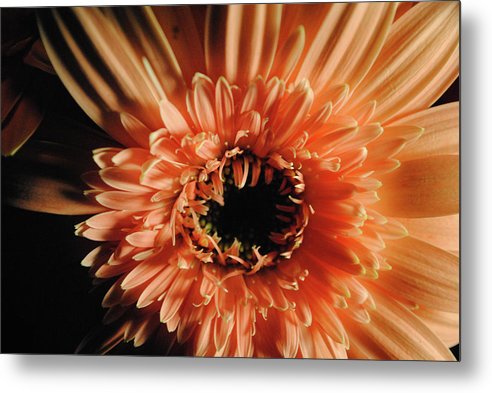 Raw Flowers 9 - Metal Print
