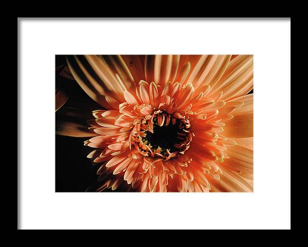Raw Flowers 9 - Framed Print