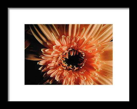 Raw Flowers 9 - Framed Print