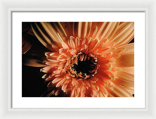 Raw Flowers 9 - Framed Print