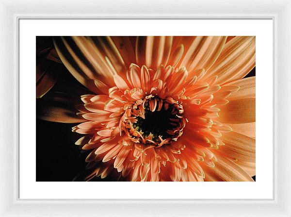 Raw Flowers 9 - Framed Print