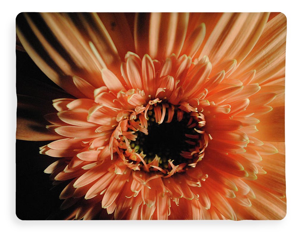 Raw Flowers 9 - Blanket