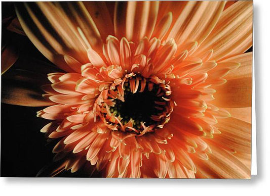 Raw Flowers 9 - Greeting Card