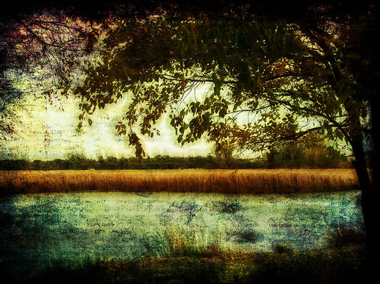 Reading By The Marsh Digital Image Download
