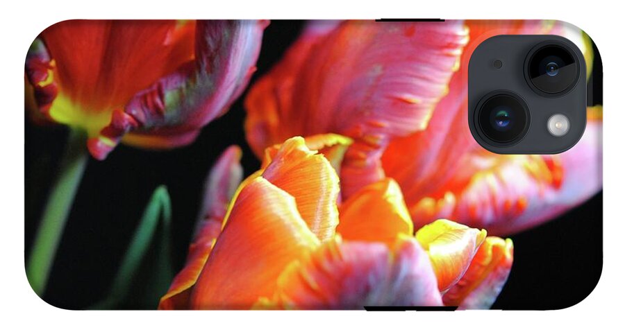 Red and Orange Tulips - Phone Case