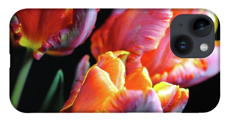 Red and Orange Tulips - Phone Case