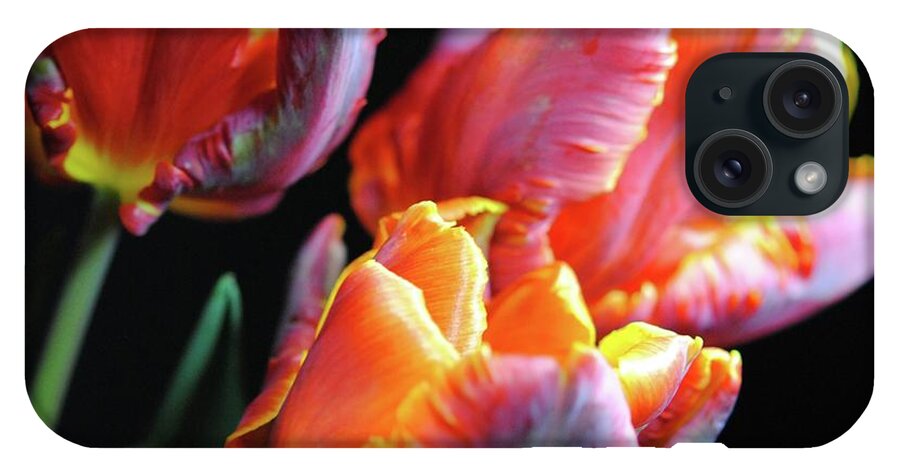 Red and Orange Tulips - Phone Case