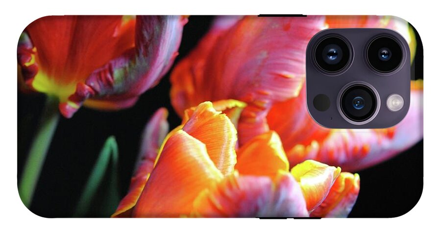 Red and Orange Tulips - Phone Case