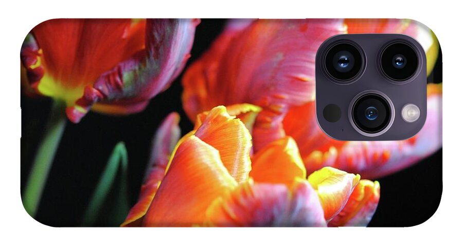 Red and Orange Tulips - Phone Case