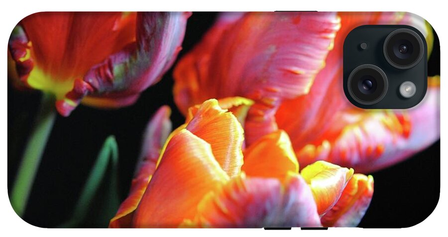 Red and Orange Tulips - Phone Case