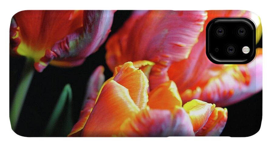 Red and Orange Tulips - Phone Case